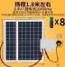 Двойная солнечная панель 10Вт (помпа погружная, водяная трубка 3 м, 2 панели из закаленного стекла, без аккумулятора)